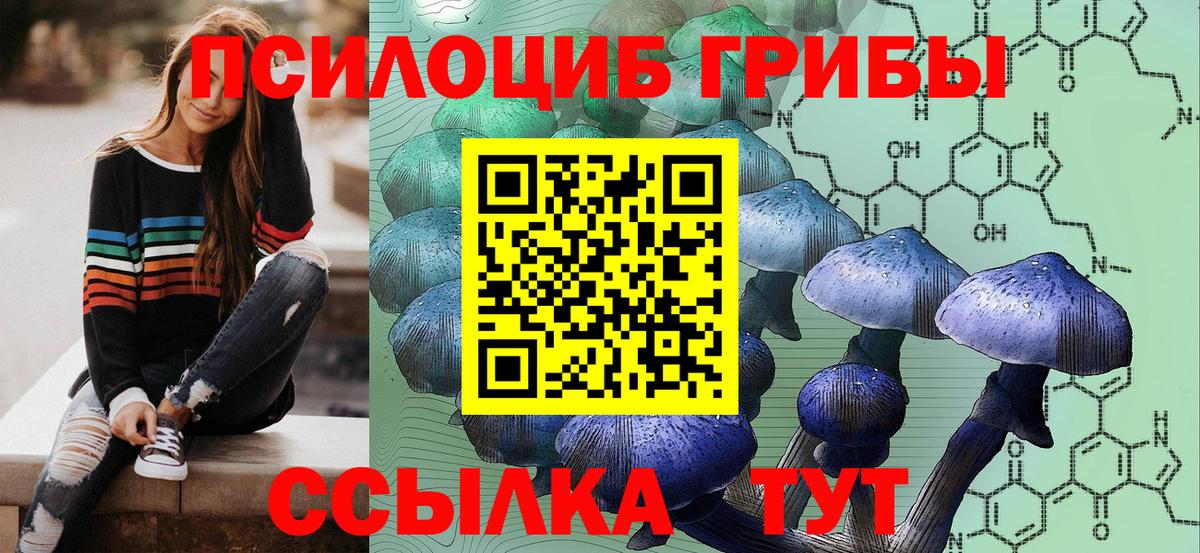 Псилоцибиновые грибы Magic Shrooms Пушкино